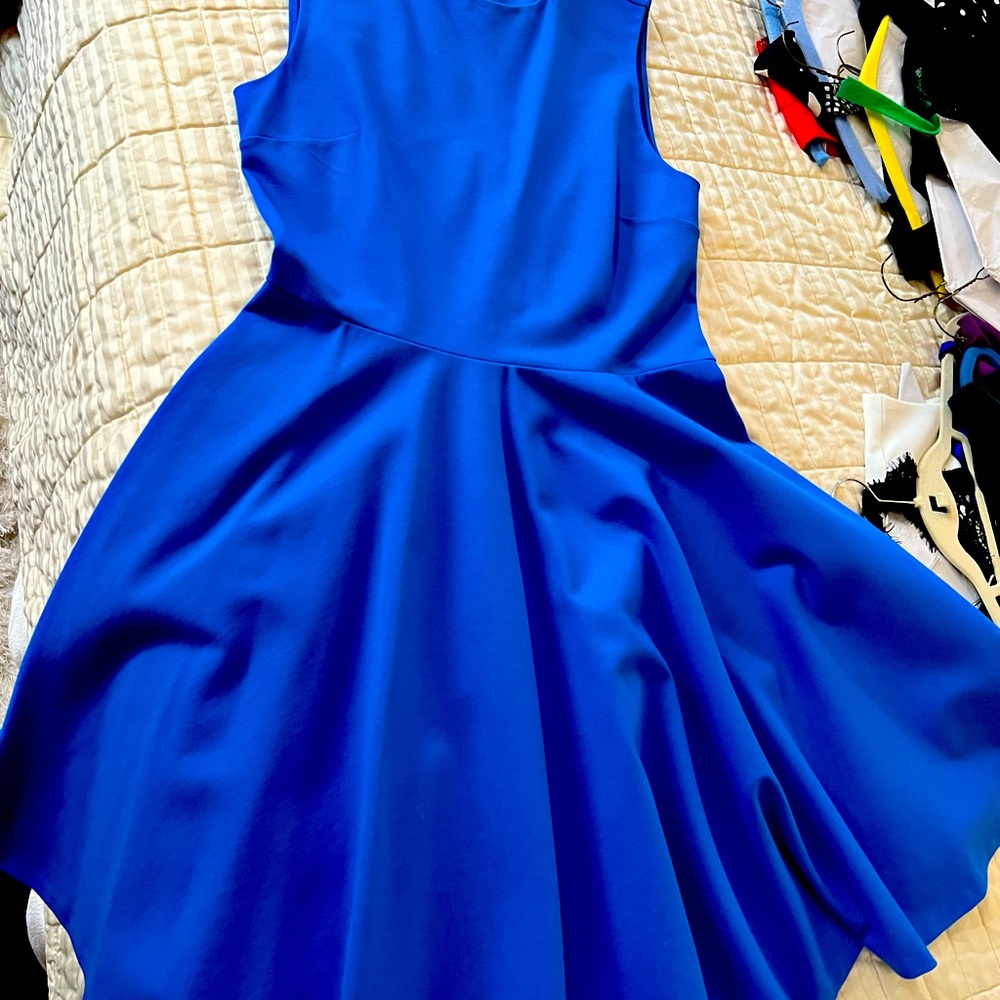Diane vonFurstenberg royal blue skater dress